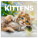 NOTIQUE Notepad Kittens 2026, 30 x 30 cm - pgp-35168-v_tit - variant Pg PGP-35168-V