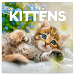 NOTIQUE Notepad Kittens 2026, 30 x 30 cm - Reklamnepredmety