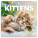 NOTIQUE Notepad Kittens 2026, 30 x 30 cm - pgp-35168-z_tit - variant Pg PGP-35168-Z