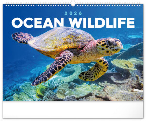 NOTIQUE Wall Calendar Underwater World 2026, 48 x 33 cm - Reklamnepredmety