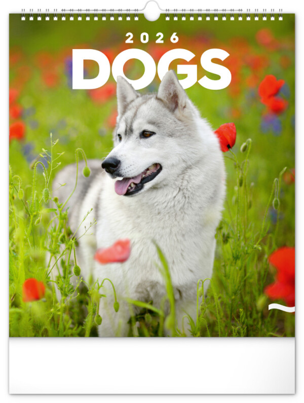 NOTIQUE Wall calendar Dogs 2026, 30 x 34 cm
