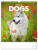 NOTIQUE Wall calendar Dogs 2026, 30 x 34 cm - pgn-35226-l_tit - variant Pg PGN-35226-L