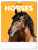 NOTIQUE Wall calendar Horses 2026, 30 x 34 cm - pgn-35224-l_tit - variant Pg PGN-35224-L