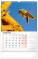 NOTIQUE Wall Beekeeping Calendar CZ 2026, 33 x 46 cm - pgn-35733-l_07 - variant Pg PGN-35733-L