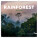 NOTIQUE Notepad Rainforests 2026, 30 x 30 cm - pgp-35471-v_tit - variant Pg PGP-35471-V