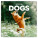 NOTIQUE Notepad Dogs 2026, 30 x 30 cm - pgp-35170-v_tit - variant Pg PGP-35170-V