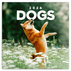 NOTIQUE Notepad Dogs 2026, 30 x 30 cm - Reklamnepredmety