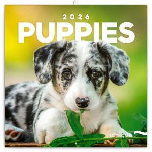 NOTIQUE Notepad Puppies 2026, 30 x 30 cm - Reklamnepredmety