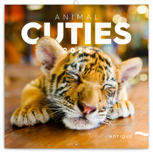 NOTIQUE Calendar Cubs 2026, 30 x 30 cm - Reklamnepredmety