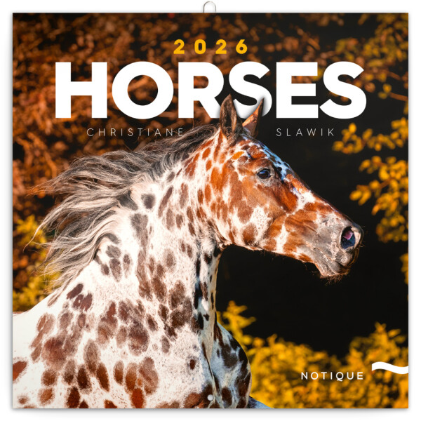NOTIQUE Notebook Horses – Christiane Slawik 2026, 30 x 30 cm