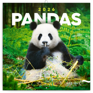 NOTIQUE Pandas 2026 Notepad, 30 x 30 cm - Reklamnepredmety