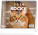NOTIQUE Desk calendar Cats - with cat names CZ 2026, 16.5 x 13 cm - pgs-35337_tit - variant Pg PGS-35337