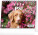 NOTIQUE Desk calendar Dogs - with dog names CZ 2026, 16.5 x 13 cm, 16.5 x 13 cm - pgs-35338_tit - variant Pg PGS-35338