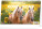 NOTIQUE Table calendar Horses - Horses CZ/SK 2026, 23.1 x 14.5 cm - pgs-35346_tit - variant Pg PGS-35346