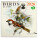 NOTIQUE Notepad Birds 2026, 30 x 30 cm - pgp-35472_tit - variant Pg PGP-35472