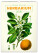 NOTIQUE Wall Calendar Vintage Posters - Herbarium 2026, 33 x 46 cm - pgn-35185_tit - variant Pg PGN-35185