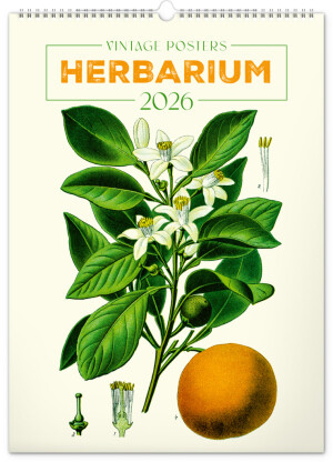 NOTIQUE Wall Calendar Vintage Posters - Herbarium 2026, 33 x 46 cm - Reklamnepredmety