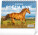 NOTIQUE Stolový kalendár Poézia koní 2026, 16,5 x 13 cm - pgs-35364-sk_tit - variant Pg PGS-35364-SK