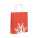 BAO SMALL Christmas small gift paper bag - cx1564-05 - variant Mo CX1564-05