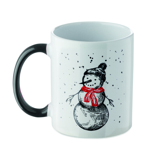 FESTIMUG