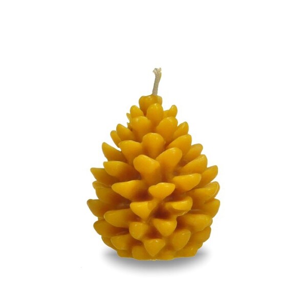 Candle cone unfolded
