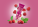 Raspberry – Raspberry jam with bourbon vanilla - malina - variant