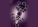 Blackcurrant – blackcurrant jam with bourbon vanilla - cierna-ribezla - variant