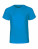 NE30001 Kids Short Sleeve T-Shirt - NE30001_Sapphire - variant Ls 1000133087