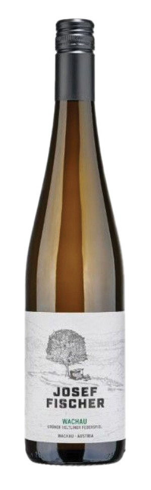 Grüner Veltliner Federspiel Wachau DAC 2023 – Weingut Josef Fischer - Reklamnepredmety