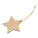 Bamboo Star Pendant Foggia