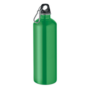 RE-ONE MOSS Single-walled bottle 1000 ml - Reklamnepredmety