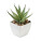 ARTILOE Small artificial plant