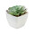 ARTIECHE Small artificial plant