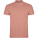 Star short sleeve men's polo