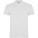 Star short sleeve men's polo