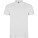 Star short sleeve men's polo - R66381Z - variant PF R66381Z0