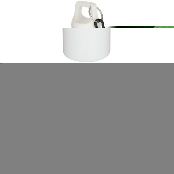 Oregon 750 ml solid colour RCS recycled plastic water bottle with carabiner  