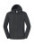 Iconic Premium Hooded Sweat Jacket - 2669942 - variant 
