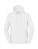 Iconic Premium Hooded Sweat - 2669957 - variant 