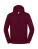 ICONIC 250 Hooded Sweat - 2669959 - variant 