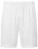 Unisex TriDri® Ion-Charge performance shorts - 2748327 - variant 