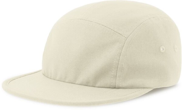 5 Panel Cap Darwin