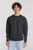 Heavy Sweater Iconic Premium Set-In Sweat - pr-162282-f-o-l-iconic-premium-set-in-sweat-light-graphite-front-8a11209d-9d16-4754-a027-156460ac04a8-web - variant 