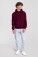 Heavy Hooded Sweatshirt Iconic Premium Hooded Sweat - pr-162284-f-o-l-iconic-premium-hooded-sweat-burgundy-front-e168aa21-864f-4615-a836-1bb0667fdb63-web - variant 