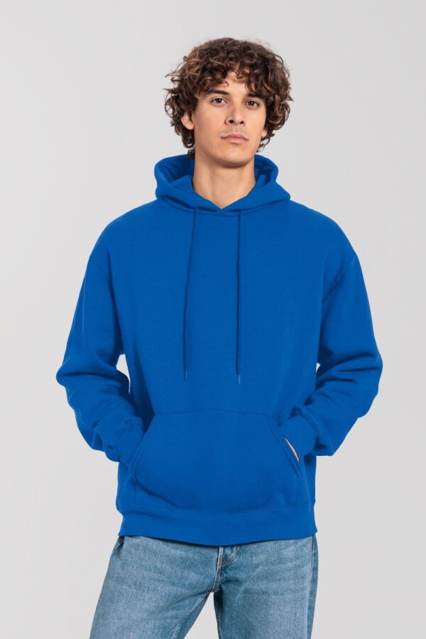 Heavy Hooded Sweatshirt Iconic Premium Hooded Sweat