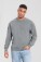 Sweater Iconic 250 Set-In Sweat - pr-162292-f-o-l-iconic-250-set-in-sweat-athletic-heather-front-c23b99f3-da1b-46b0-b0ea-2996f2192b7f-web - variant 