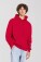 Hooded Sweatshirt - Iconic 250 Hooded Sweat - pr-162294-f-o-l-iconic-250-hooded-sweat-red-front-c3902dfb-835a-46c8-806a-1805f99c45ef-web - variant 