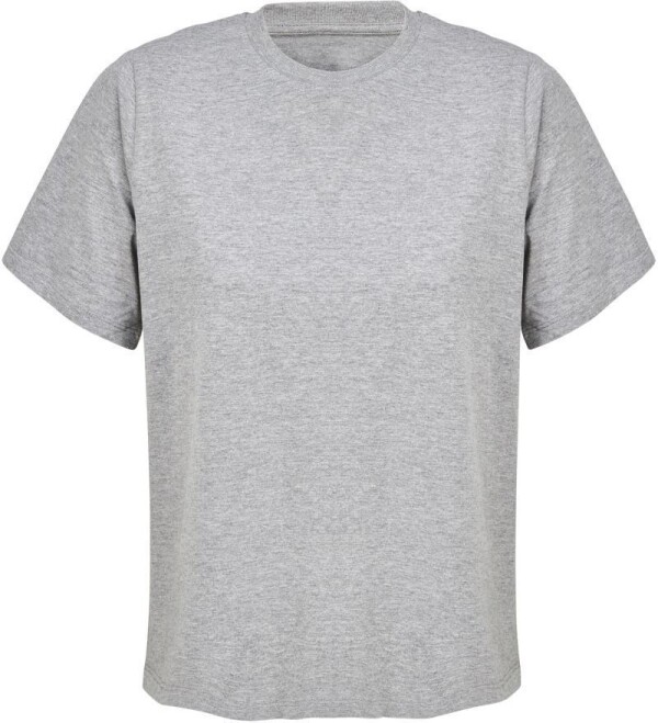 Ladies' Organic IC T-Shirt Legend Women