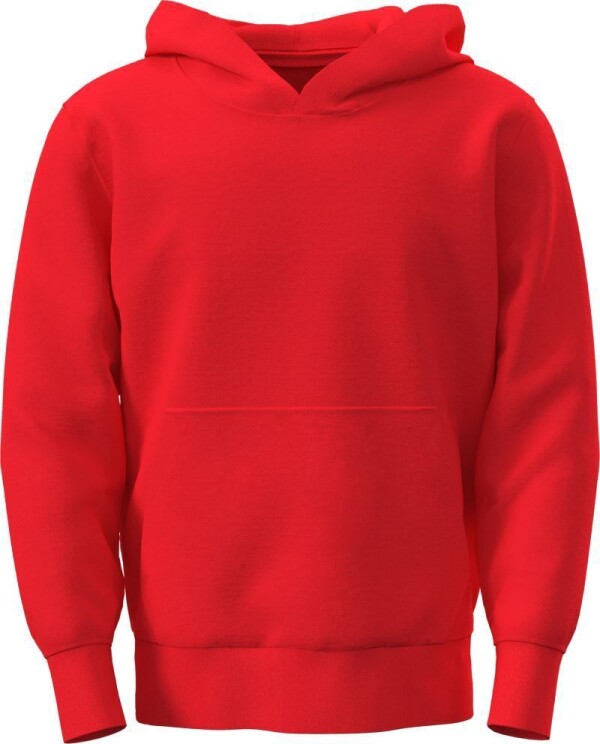 Kids hooded sweater "Classic"
