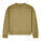 The Ryler unisex crewneck sweatshirt - stsu255-fadedolive-packshot-main-front - variant 